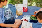 Fussy Eaters and Gut Health