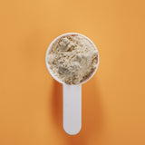 YOGOODY Shake Mango - Family Pack